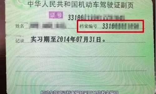 驾驶证网上查询系统_驾驶证查询网址