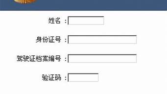 驾证查询系统_驾证查询系统官方app