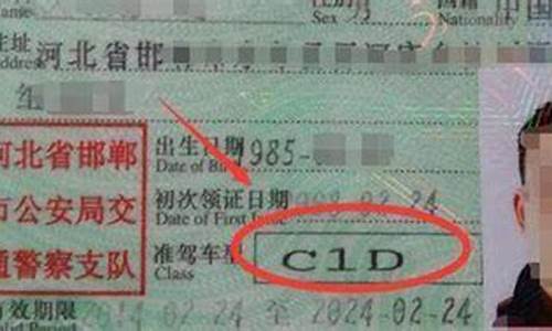 c1d是什么驾照能开什么车_c1d是开什